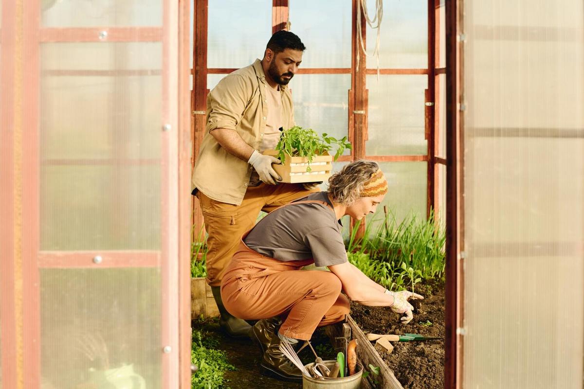 Urban Gardening: Growing Your Own Ingredients for Cooking